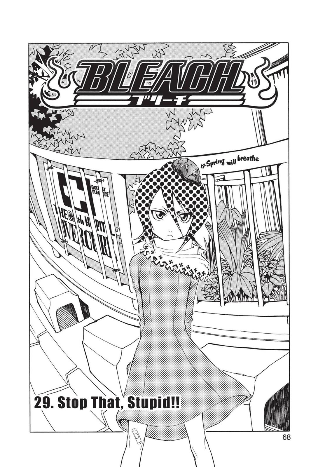Read Bleach EN Manga Online